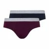 Wäsche Hanro 2er-Pack Slips Cotton Essentials In Deep Navy/sumac Günstig Kaufen 2 Wäsche Hanro 2er-Pack Slips Cotton Essentials In Deep Navy/sumac Günstig Kaufen -hanro shop hanro 2er pack slips cotton essentials in deep navy sumac