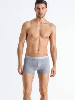 Wäsche Hanro Boxershorts Cotton Essentials In Grau Günstig Kaufen -hanro shop hanro boxershorts cotton essentials in grau 4