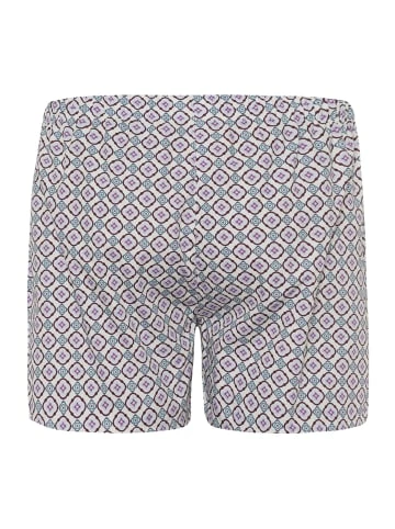Wäsche Hanro Boxershorts Fancy Woven In Elemental Print Günstig Kaufen 4 Wäsche Hanro Boxershorts Fancy Woven In Elemental Print Günstig Kaufen - Image 2