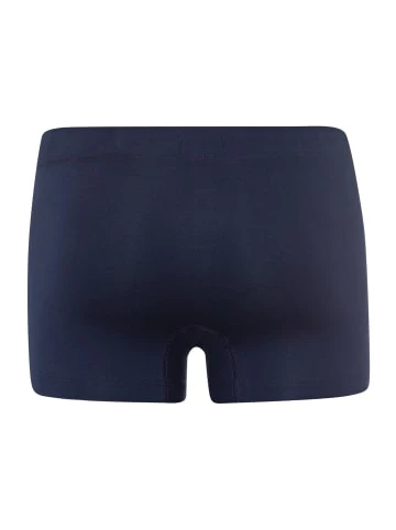 Wäsche Hanro Hose Cotton Essentials In Light Melange / Blue Gentian Günstig Kaufen 8 Wäsche Hanro Hose Cotton Essentials In Light Melange / Blue Gentian Günstig Kaufen - Image 6