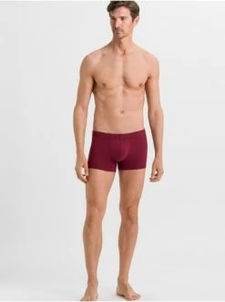 Wäsche Hanro Hose Cotton Essentials In Ruby/coal Melange Günstig Kaufen -hanro shop hanro hose cotton essentials in ruby coal melange 2