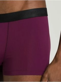 Wäsche Hanro Hose Micro Touch In Sumac Günstig Kaufen -hanro shop hanro hose micro touch in sumac 5