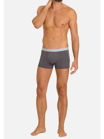 Wäsche Hanro Retro Short / Pant Cotton Essentials In Amaranth/Mercury Günstig Kaufen 4 Wäsche Hanro Retro Short / Pant Cotton Essentials In Amaranth/Mercury Günstig Kaufen - Image 2