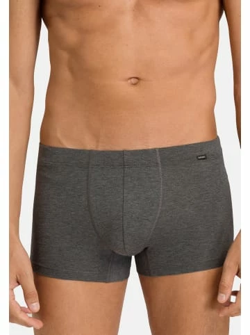 Wäsche Hanro Retro Short / Pant Cotton Essentials In Coal Melange Günstig Kaufen 5 Wäsche Hanro Retro Short / Pant Cotton Essentials In Coal Melange Günstig Kaufen - Image 3