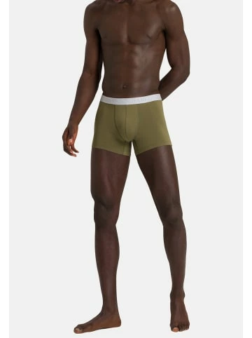 Wäsche Hanro Retro Short / Pant Cotton Essentials In Labradorblue/Moss Günstig Kaufen 4 Wäsche Hanro Retro Short / Pant Cotton Essentials In Labradorblue/Moss Günstig Kaufen - Image 2