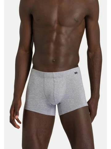 Wäsche Hanro Retro Short / Pant Cotton Essentials In Light Melange/Deep Navy Günstig Kaufen 5 Wäsche Hanro Retro Short / Pant Cotton Essentials In Light Melange/Deep Navy Günstig Kaufen - Image 3