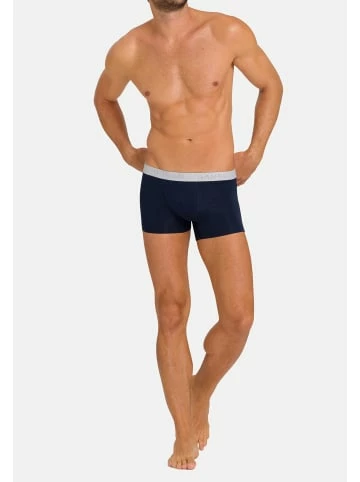 Wäsche Hanro Retro Short / Pant Cotton Essentials In Light Melange/Deep Navy Günstig Kaufen 4 Wäsche Hanro Retro Short / Pant Cotton Essentials In Light Melange/Deep Navy Günstig Kaufen - Image 2