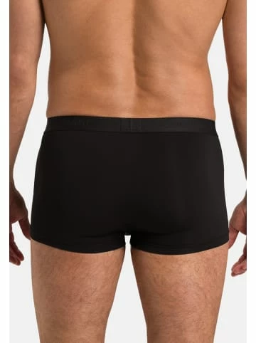 Wäsche Hanro Retro Short / Pant Micro Touch In Schwarz Günstig Kaufen 6 Wäsche Hanro Retro Short / Pant Micro Touch In Schwarz Günstig Kaufen - Image 4