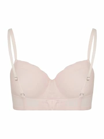 Große Größen Hanro Schalen BH Cotton Lace In Powder Günstig Kaufen 4 Große Größen Hanro Schalen BH Cotton Lace In Powder Günstig Kaufen - Image 2