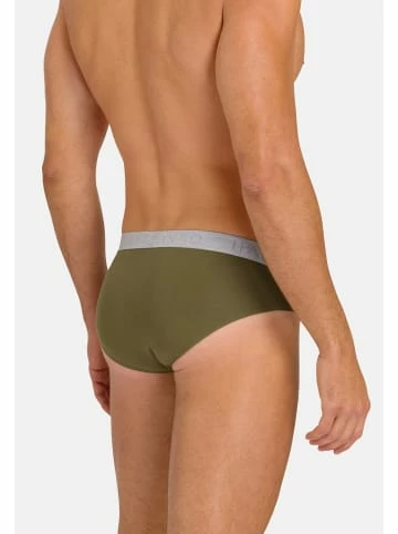 Wäsche Hanro Slip / Unterhose Cotton Essentials In Labradorblue/Moss Günstig Kaufen 6 Wäsche Hanro Slip / Unterhose Cotton Essentials In Labradorblue/Moss Günstig Kaufen - Image 4