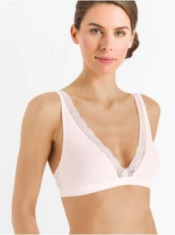 Große Größen Hanro Soft Cup BH Cotton Lace In Powder Günstig Kaufen -hanro shop hanro soft cup bh cotton lace in powder 2