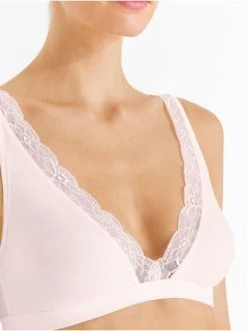 Große Größen Hanro Soft Cup BH Cotton Lace In Powder Günstig Kaufen -hanro shop hanro soft cup bh cotton lace in powder 5